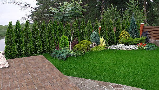 Top landscaping service